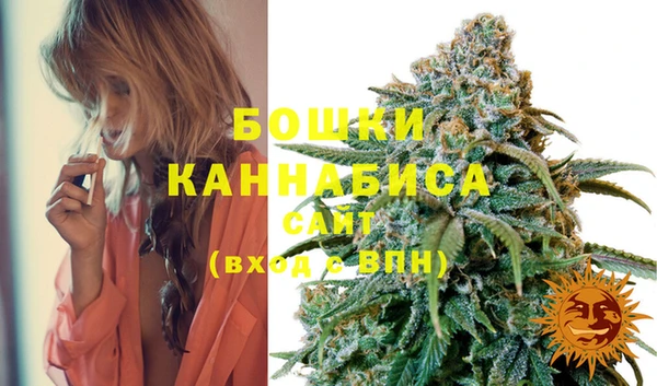 хмурый Горно-Алтайск