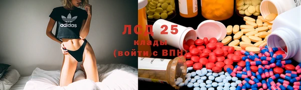 ПСИЛОЦИБИНОВЫЕ ГРИБЫ Горнозаводск