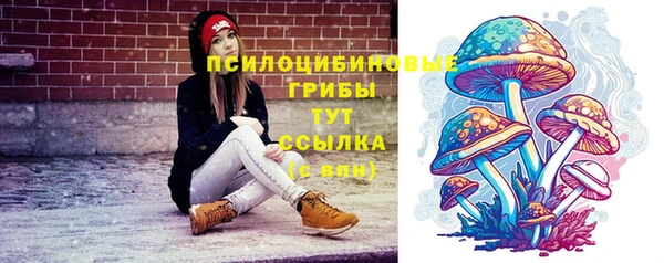 меф Горняк