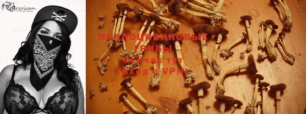 меф Горняк