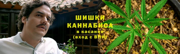 ПСИЛОЦИБИНОВЫЕ ГРИБЫ Горнозаводск