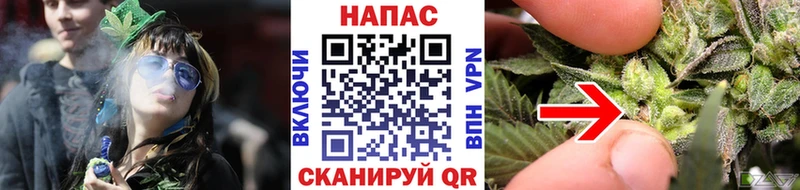где можно купить наркотик  Чебоксары  Бошки Шишки индика 